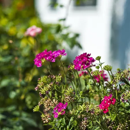 Casa Di Meglio Dependance 4*