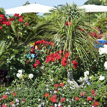 Casa Di Meglio Dependance Gæstehus