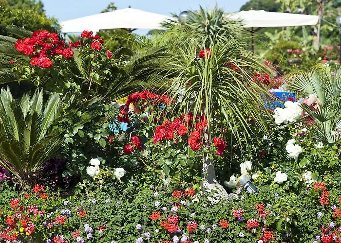 Casa Di Meglio Dependance Affittacamere