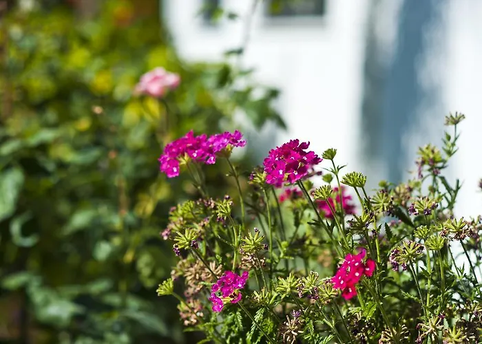 Casa Di Meglio Dependance 4*