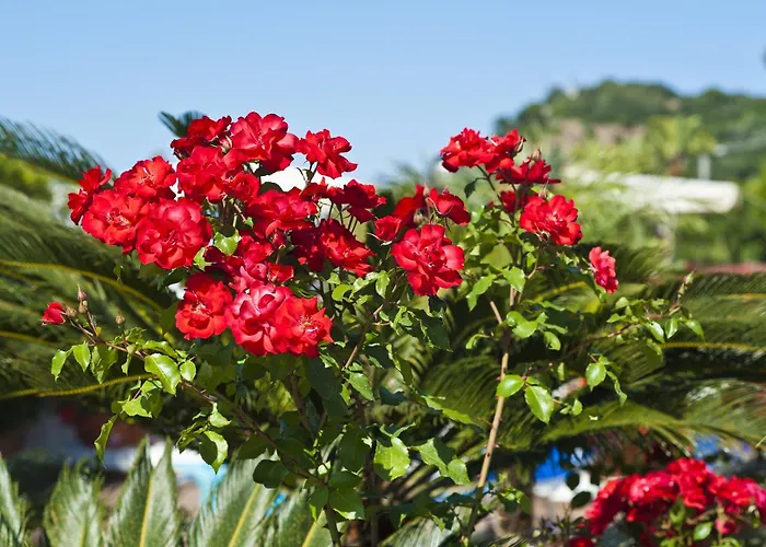 Affittacamere Casa Di Meglio Dependance 4*